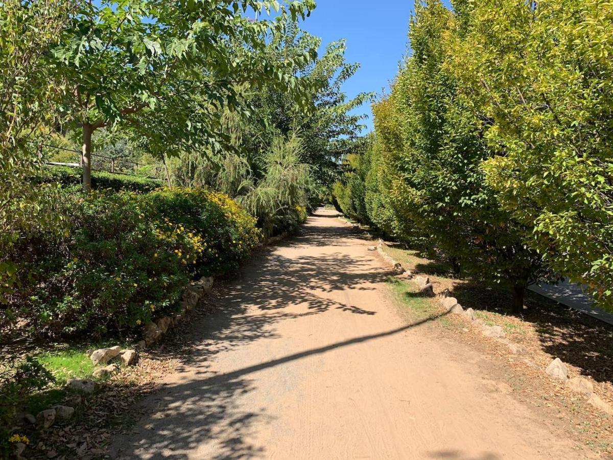 Apartamento En Granada Con Facil Aparcamiento En La Zona Exteriör bild